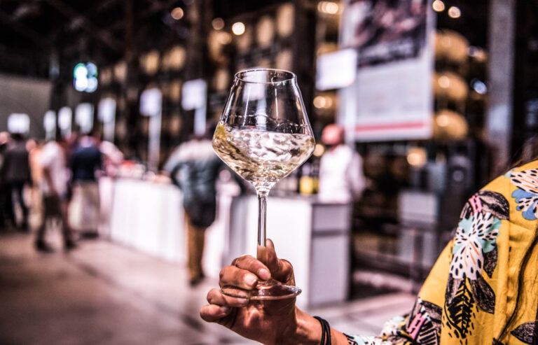 Vinos & Negocios