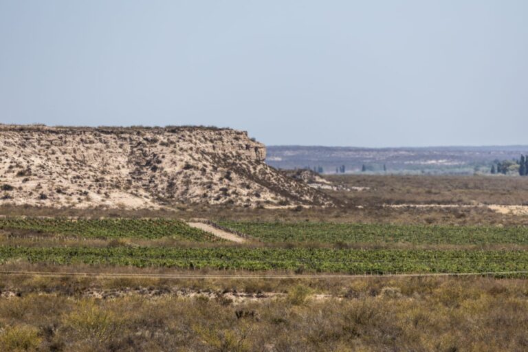 ribera del cuarzo