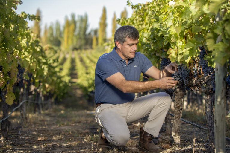 Pablo Cúneo descorchados