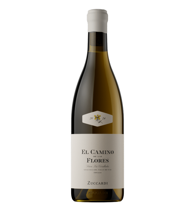 zuccardi vinos