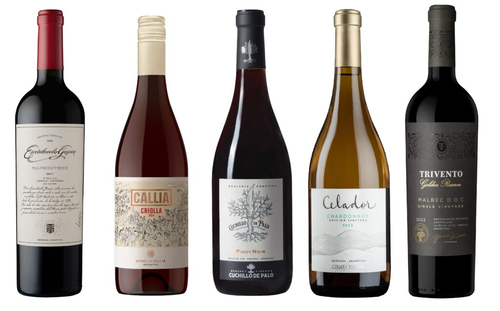 día del amigo vinos