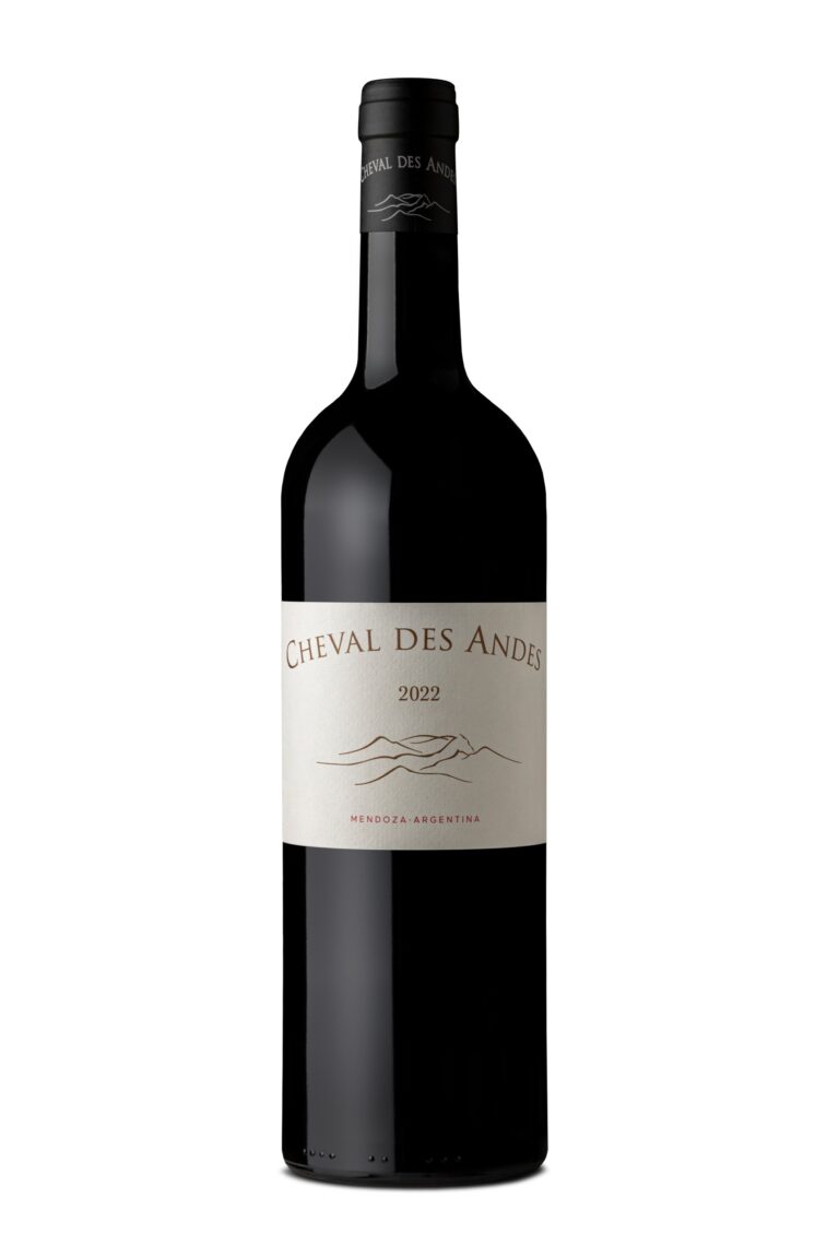 cheval des andes