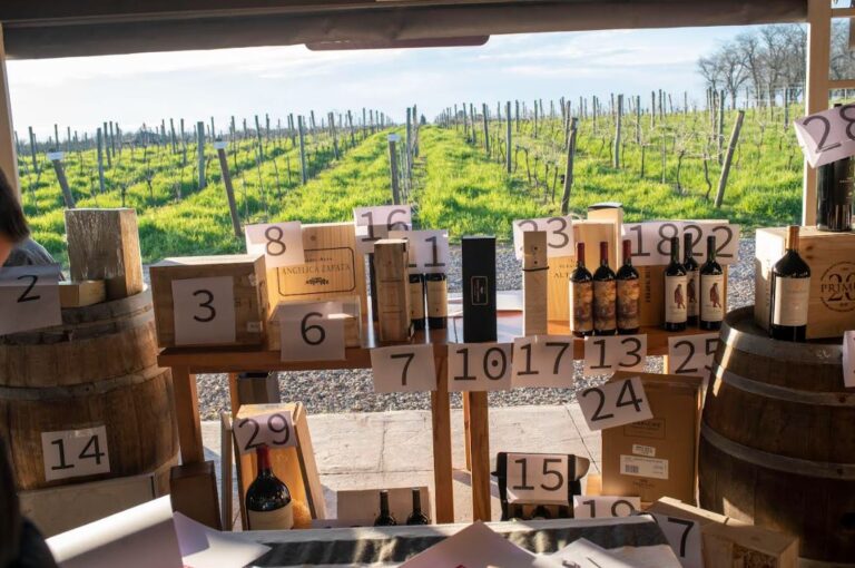 subasta solidaria de vino