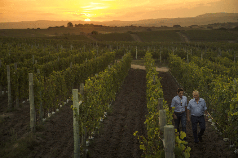 Alejandro Bulgheroni