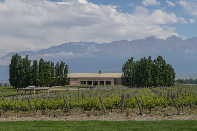 salentein restaurant