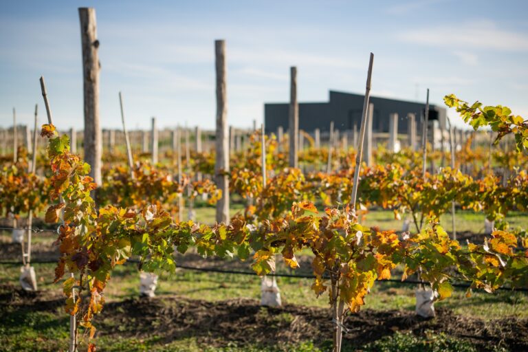 Bodega gamboa madariaga