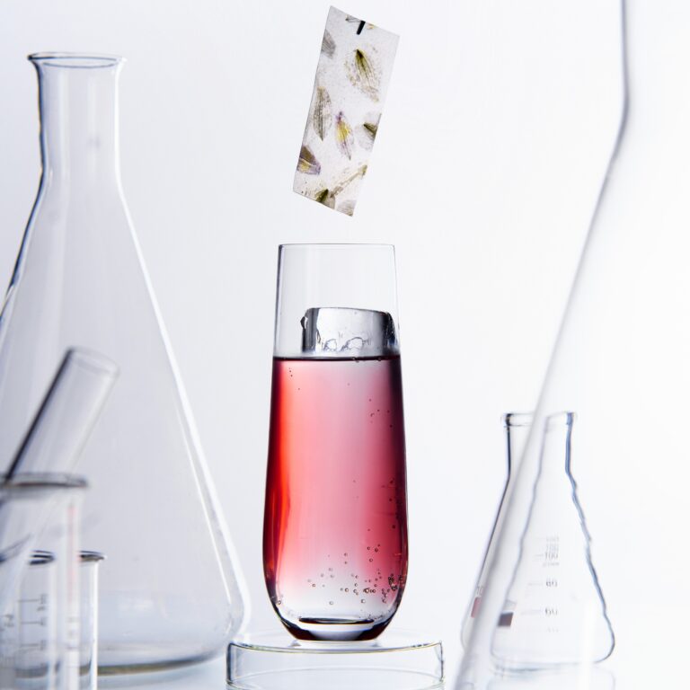 prototipo cero casa cavia