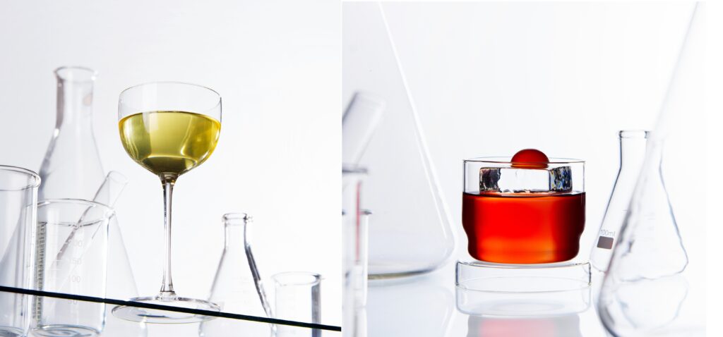 prototipo cero casa cavia