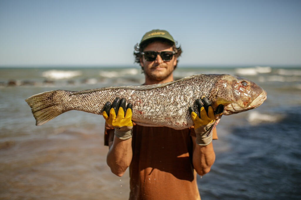 Proyecto Pescado Baron B