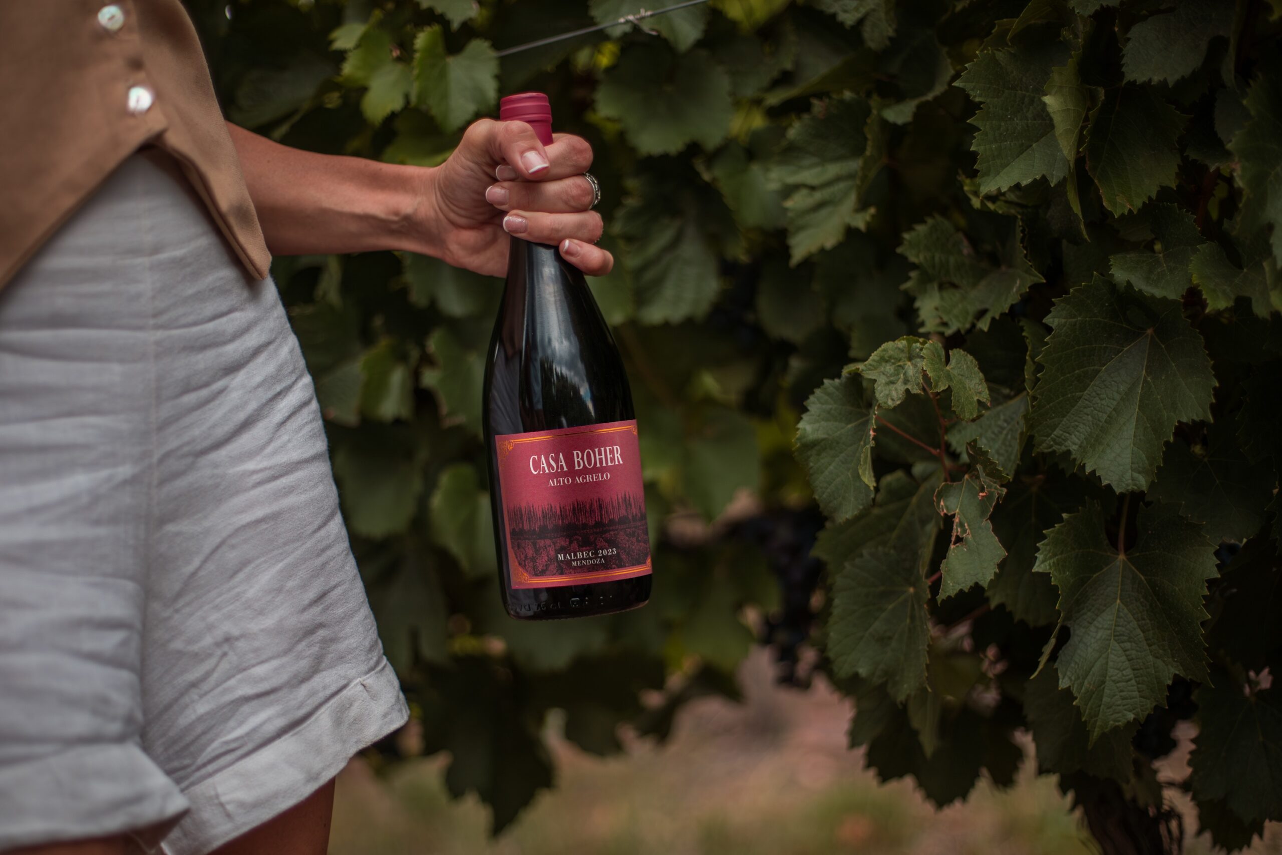 rosell boher vendimia