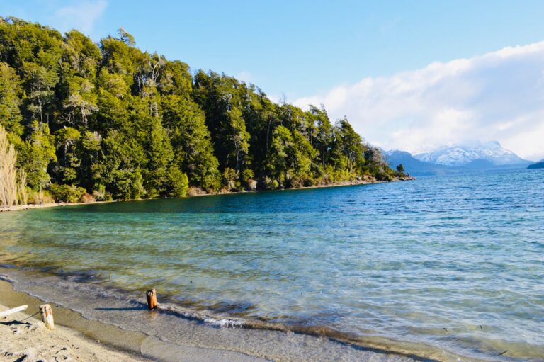 san martin de los andes