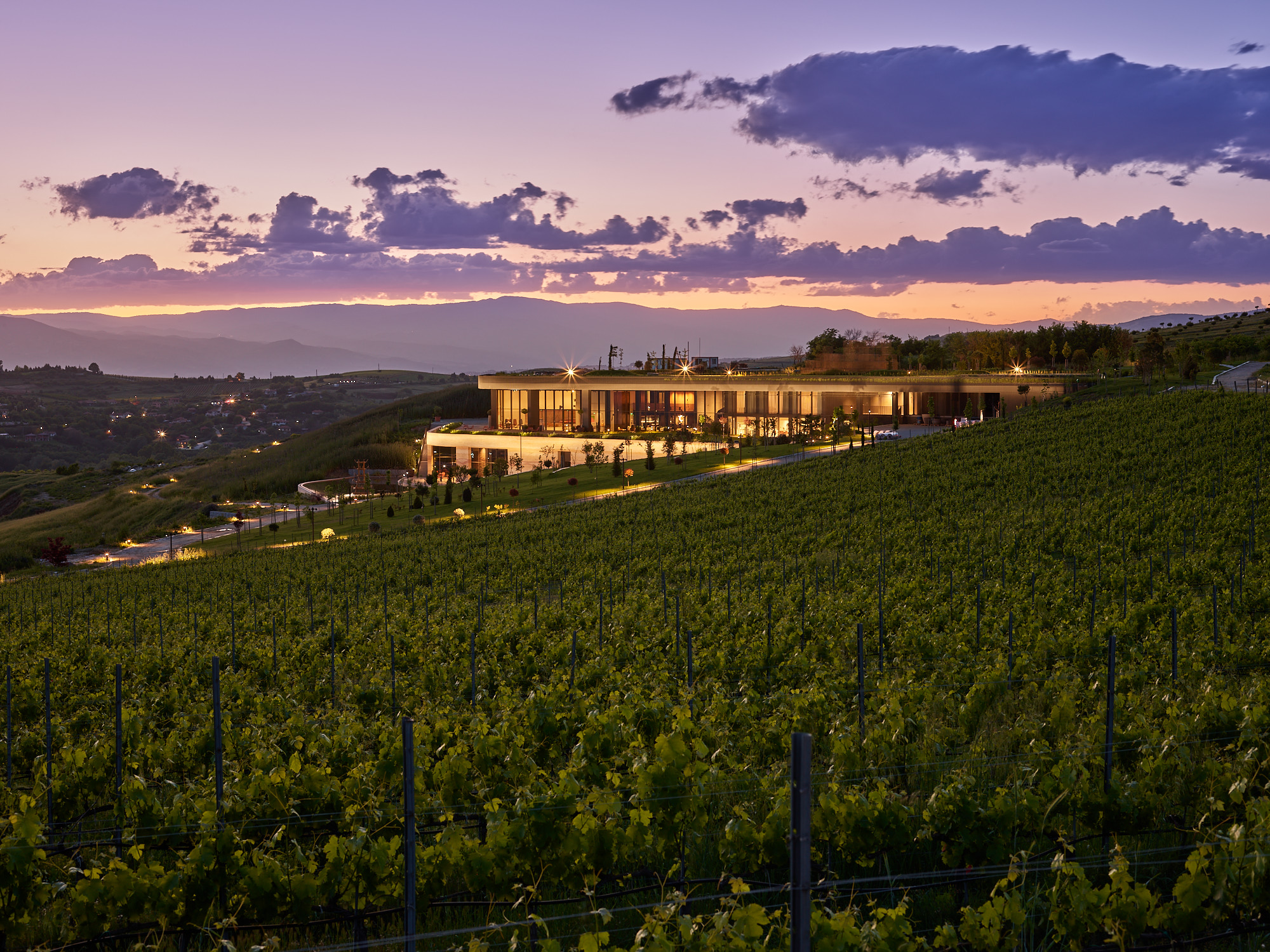 The 50 Best Vineyards 2026 - One to Watch Award, sponsored by Grupo Liderazgo